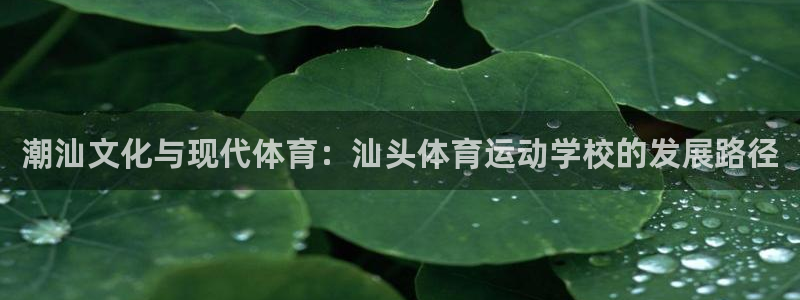杏悦注册