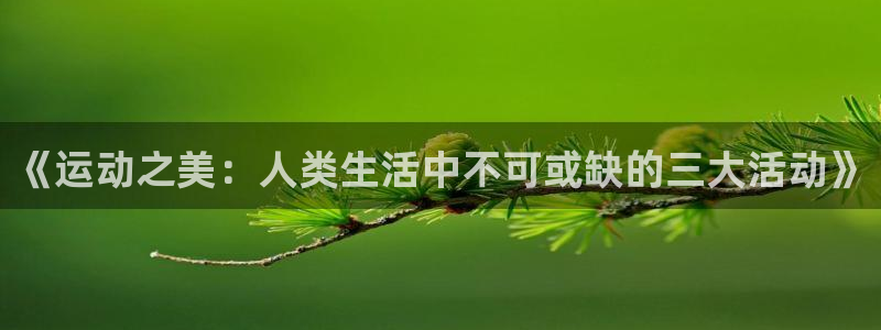 杏悦平台开户链接