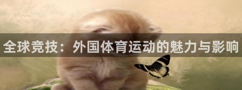 杏悦3官网登录
