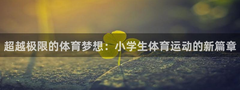 杏悦5