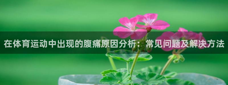 杏悦3官网登录