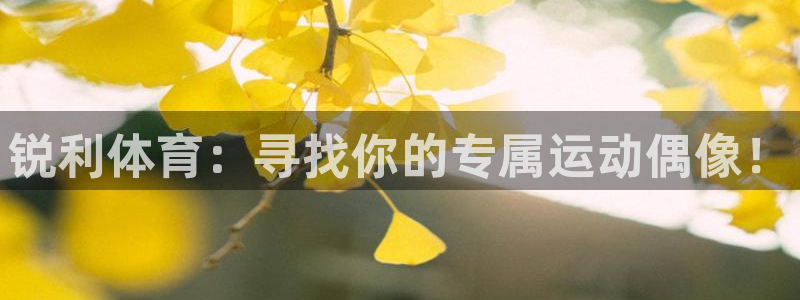 杏悦体育合法嘛