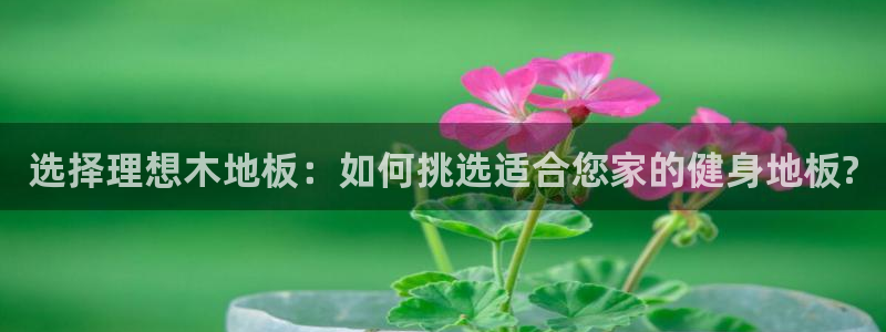 杏悦