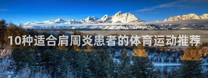 杏悦2官网