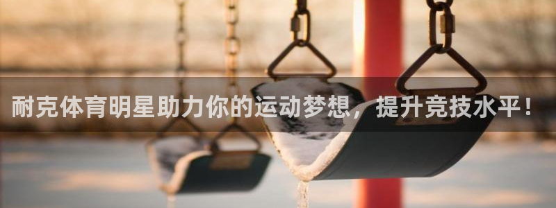 杏悦招商