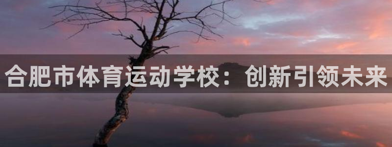 杏悦体育凯捷平台注册