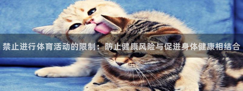 杏悦体育凯捷平台代理