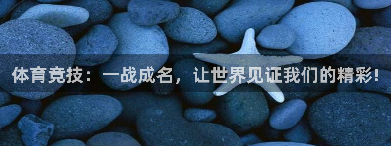 杏悦体育3
