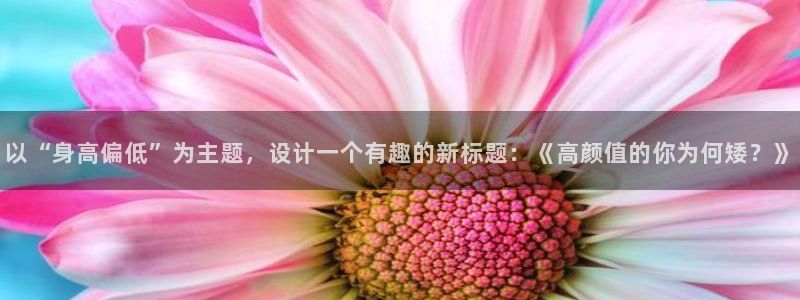 杏悦集团